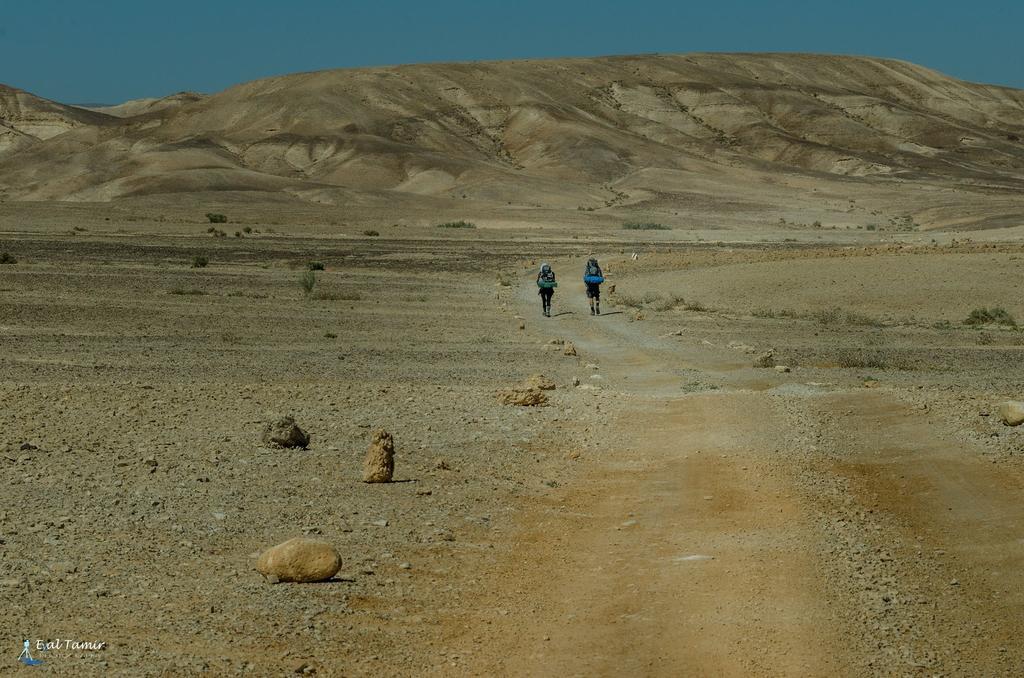 Desert Picture Arad Eksteriør billede