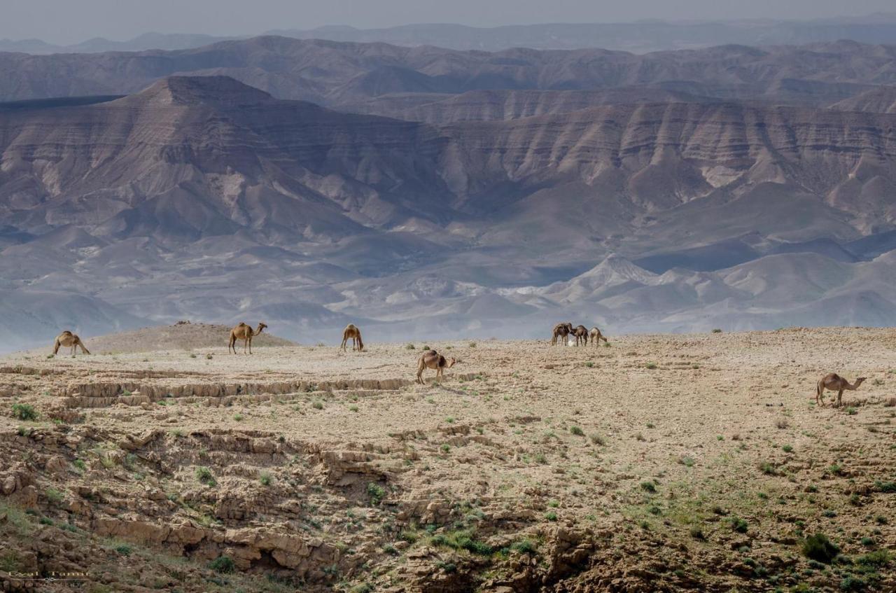 Desert Picture Arad Eksteriør billede